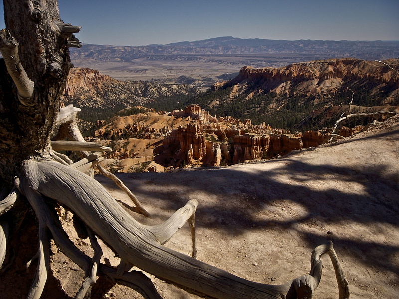 rock formation, solid, travel destinations, view, sunlight, national park, park, canyon, scenics - nature, land, tranquil scene, tranquility, national