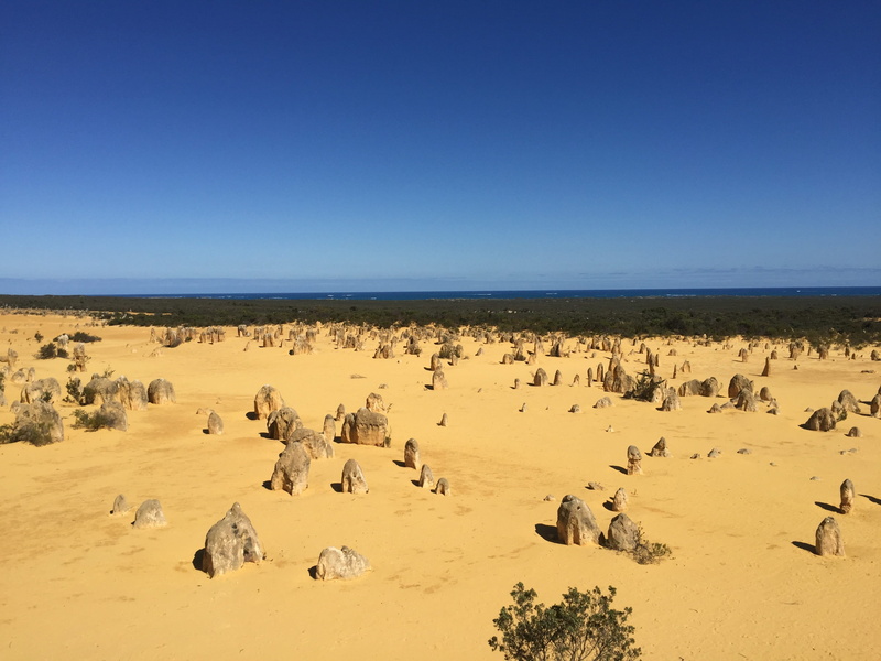 western australia, nambung national park, formation, nature, horizon over water, environment, beauty in nature, tranquil scene, the pinnacles, rock, herd