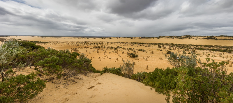 animal, climate, non-urban scene, semi-arid, sand, national, rain, scenics, nature, ociania, oz, wa, west, desert, land, travel, environment, no people