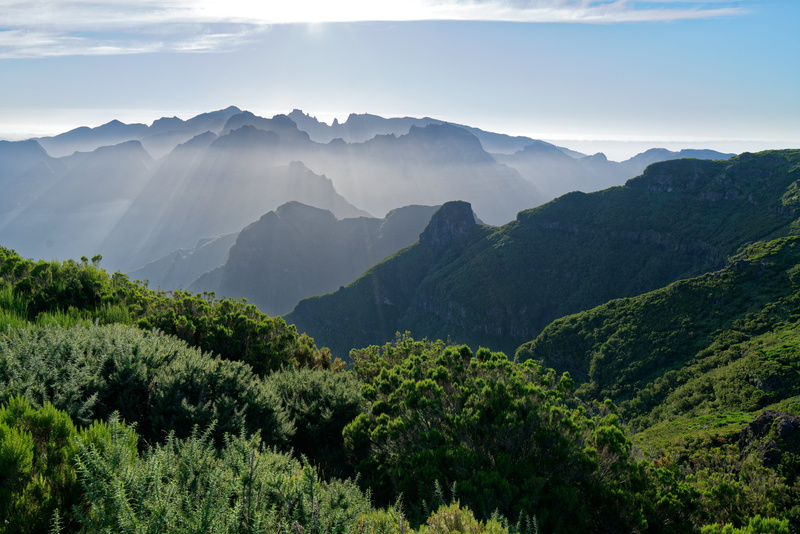 plant, mountain peak, mountain range, idyllic, growth, 8K, no people, portugal, mountain, tranquil scene, backlit, scenics - nature, outdoors, nature