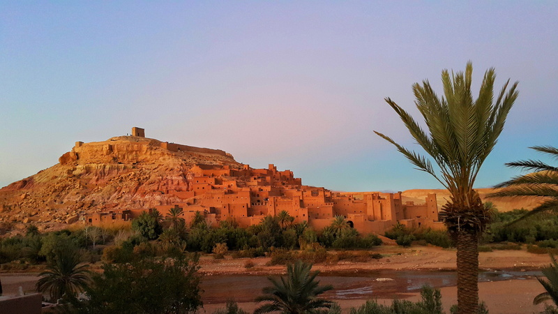 plant, palm tree, climate, no people, travel destinations, outdoors, benhaddou, casbah, environment, 5K, tranquility, scenics - nature, desert, stunning