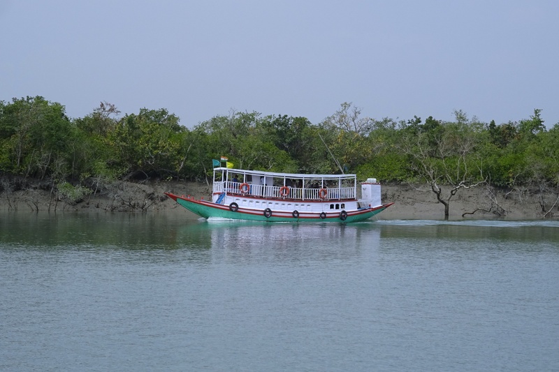 travel, lake, boat, ramsar site, forest, mode of transportation, craft, mangroves, plant, water, tourism, waterfront, day, transportation, passenger craft