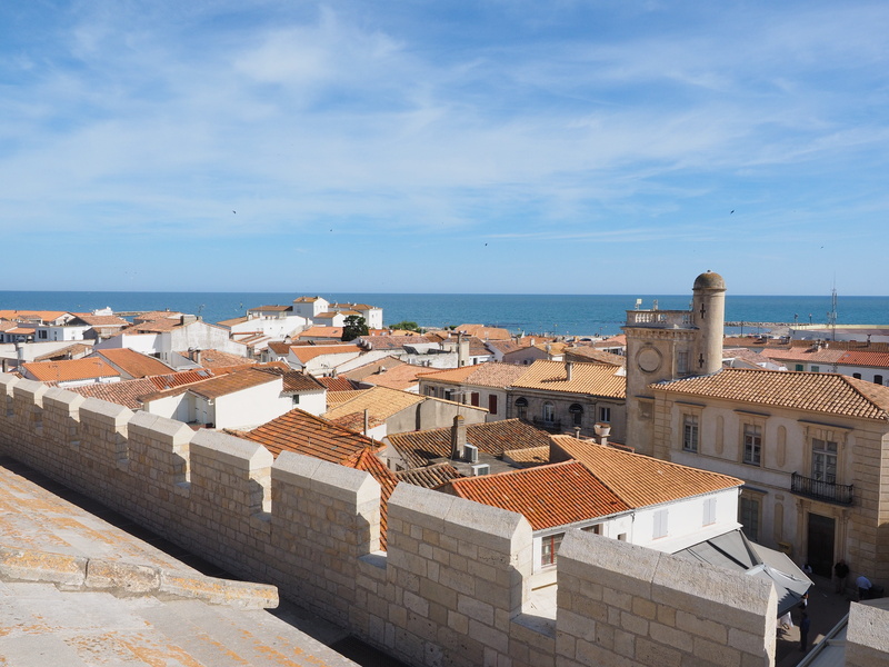 townscape, camargue, water, community, holiday resort, roof, pilgrimage site, idyllic, homes, france, nature, holiday, cityscape, day, provence-alpes-côte dazur