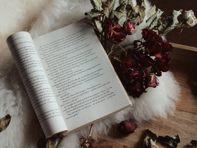backgrounds, reading, book, old-fashioned, 4K, flat lay, writing, page, wooden, document, bible, table, religion, wood - Material, old, study, retro Styled