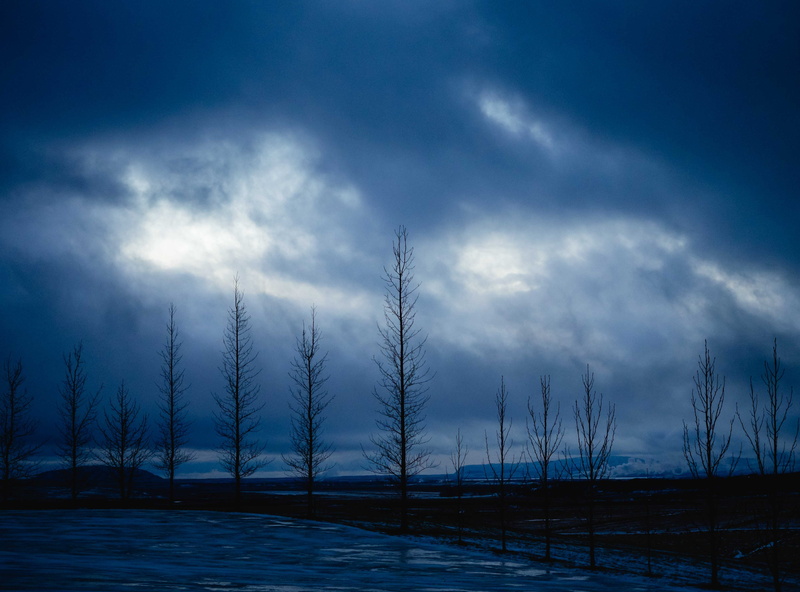 branch, frozen, fog, tranquil Scene, meteorology, land, weather, sunlight, environment, morning, scenics, cloud - Sky, cold - Temperature, branches, woodland