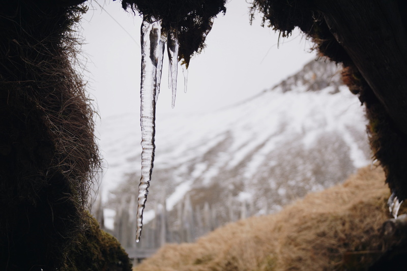tree, outdoors, trip, grass, tranquility, banister, day, vestrahorn, beauty in nature, environment, cave, cold temperature, field, running water, 5K, sweater