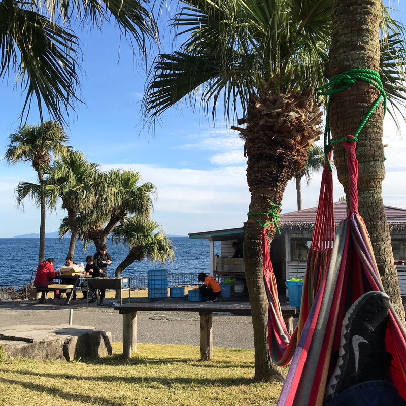 real people, itō-shi, men, sitting, tree trunk, water, relaxed, 2K, tree, hammock, trunk, growth, outdoors, mode of transportation, nap, relax, day, plant
