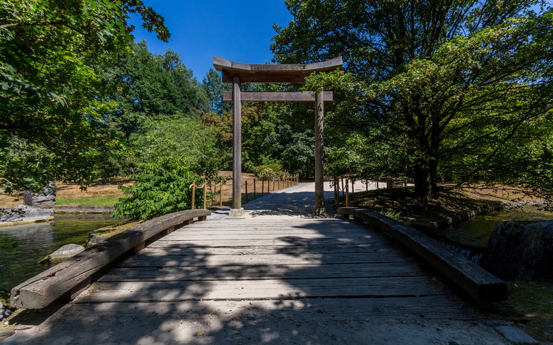 the way forward, day, architecture, japanese garden, blue, nipon, shadow, japansetuin, 4K, tree, nature, no people, outdoors, wood - material, japan, connection