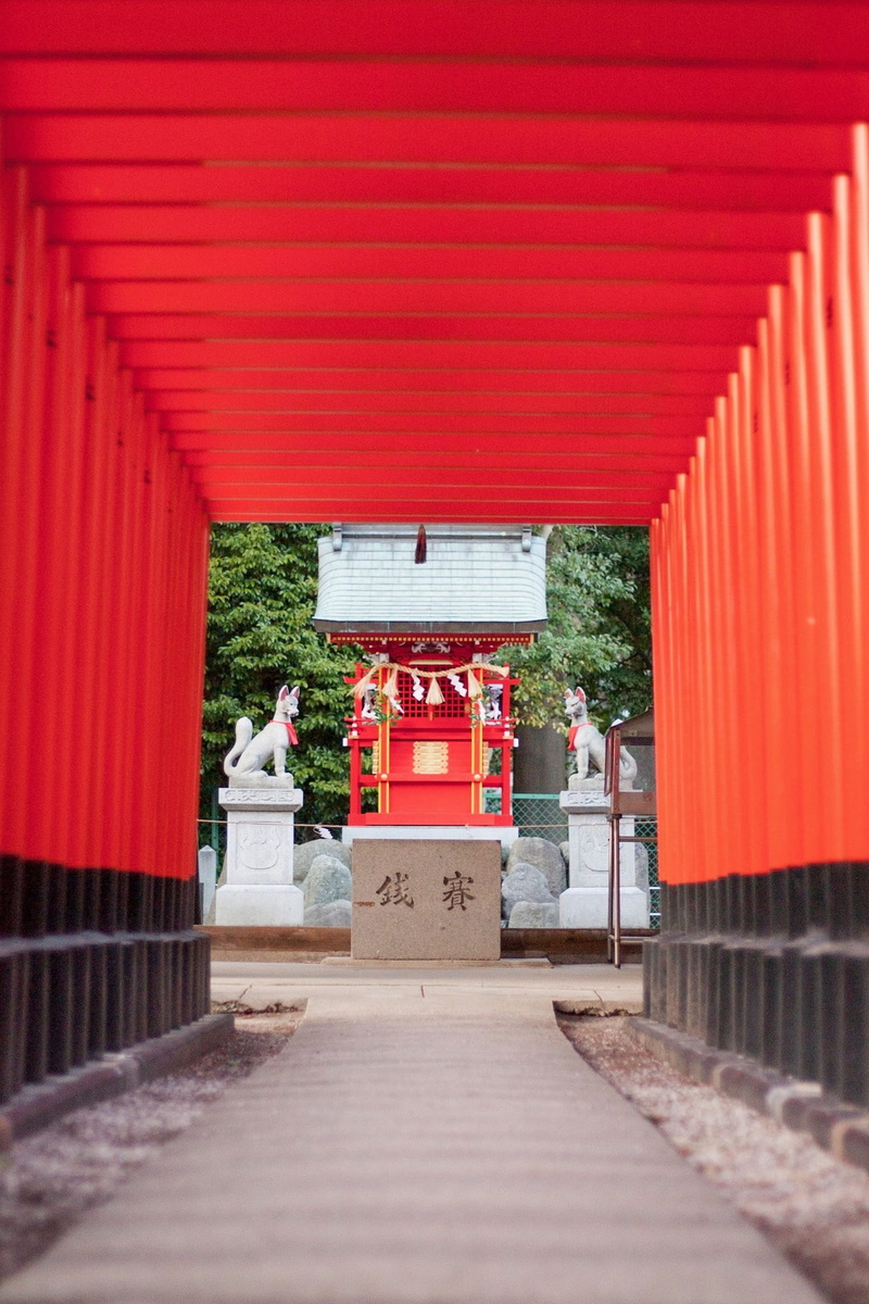 outdoors, belief, road, place of worship, direction, asia, no people, spirituality, shrine, travel destinations, plant, the way forward, gate, building exterior
