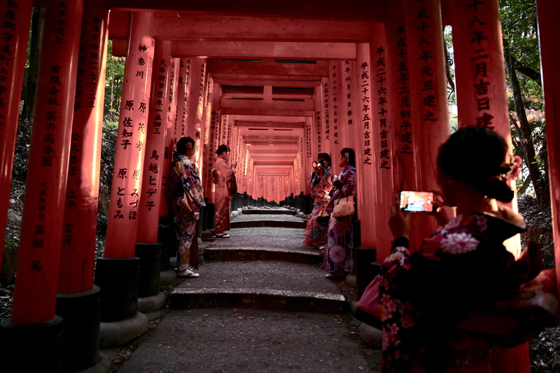 shrine, mirror, brown, group of people, background picture, wooden, place of worship, worship, building, japan, japanese garden, the way forward, torii