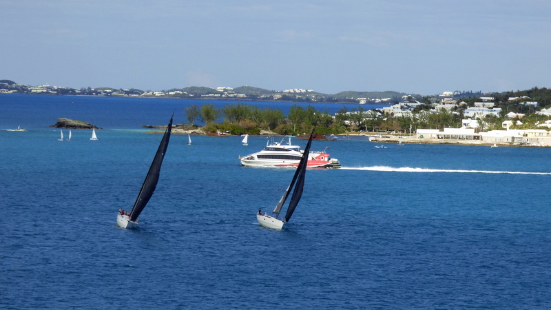 scenics - nature, racing, waterfront, tree, water, ocean, beauty in nature, sailboat, sailing, nature, tranquility, non-urban scene, cruising, 4K, yacht