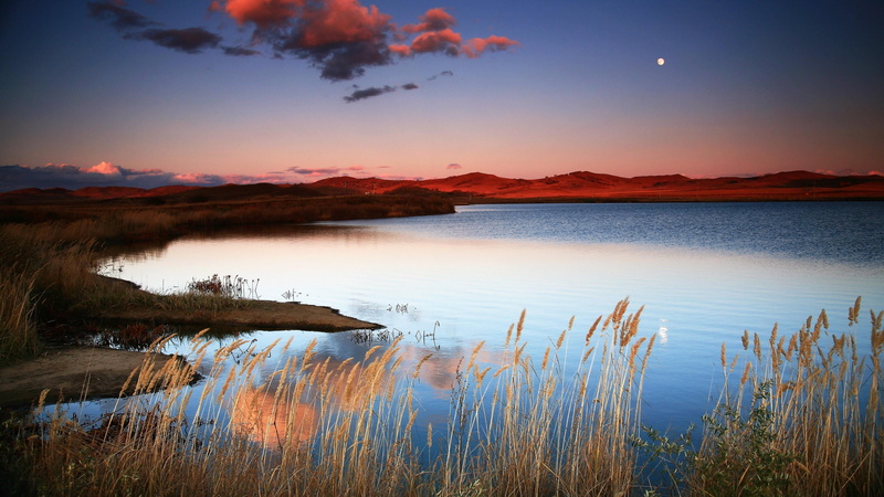 sunset, plant, evening, scenics - nature, beauty in nature, outdoors, grassland, china, no people, tranquility, reflection, tranquil scene, idyllic, cloud - sky