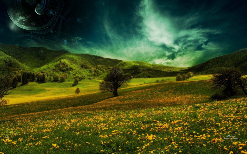 yellow, non-Urban Scene, rural Scene, landscaped, blue, land, scenics - nature, no People, 1080P, petaled, day, italy, agriculture, flowering plant, green Color
