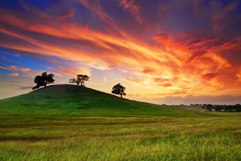 plant, landscape, sunlight, scenics, land, may, mountain, morning, hills, sun, sunset, environment, tranquil Scene, landscaped, tranquility, cloud - Sky