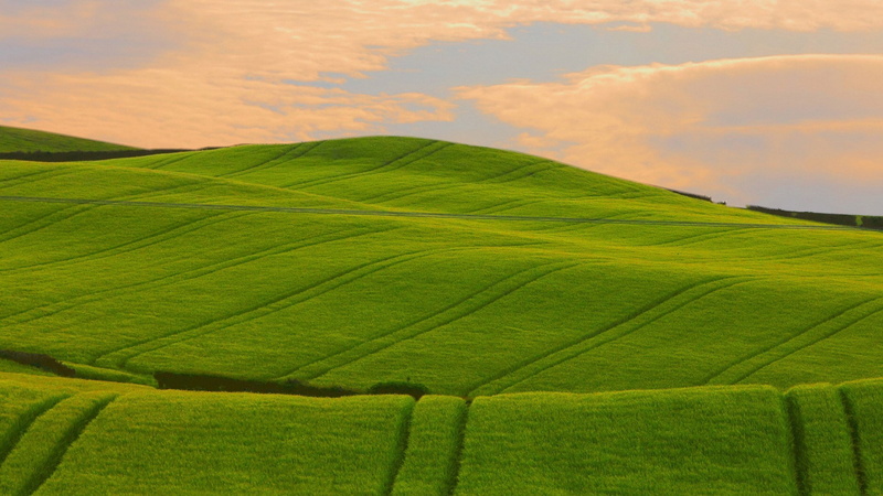 scenics - nature, farm, landscape, crop, field, beauty in nature, plant, no people, environment, cereal plant, land, growth, green color, super pictures nature 1920x1080