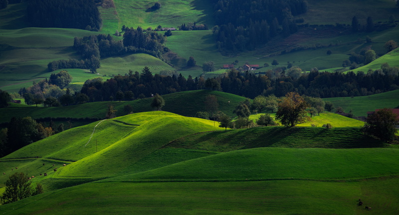green color, landscape, ondulation, scenics - nature, background, late, land, agriculture, forest, field, no people, switzerland, rolling landscape, beauty in nature