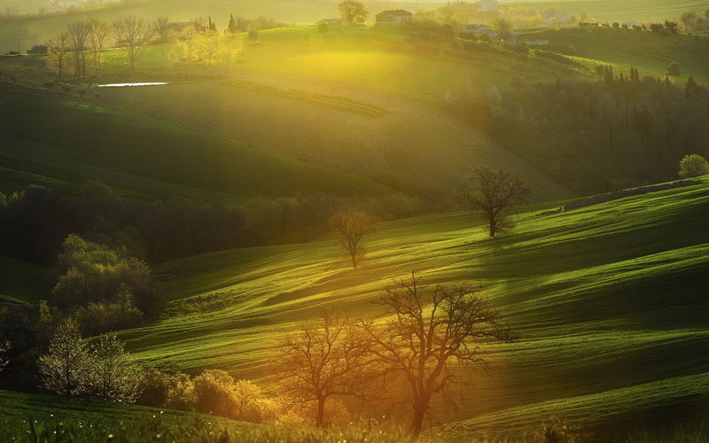 rural scene, landscape, morning, outdoors, plant, land, environment, nature  download for desktop 1920x1200, beauty in nature, rolling landscape, fog, non-urban scene