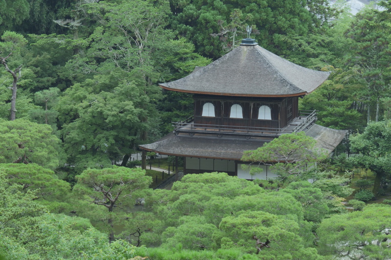 foliage, no people, lush foliage, belief, outdoors, architecture, plant, roof, nature, tree, land, building, day, religion, forest, growth, built structure