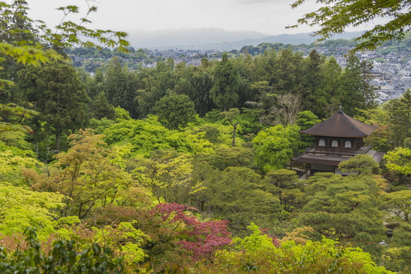 Japan, Ginkaku-Ji, Garden, Temple, Kyoto, Temples, Temple of Shining Mercy, Jishō-ji, 1080P, Zen, Jisho-Ji