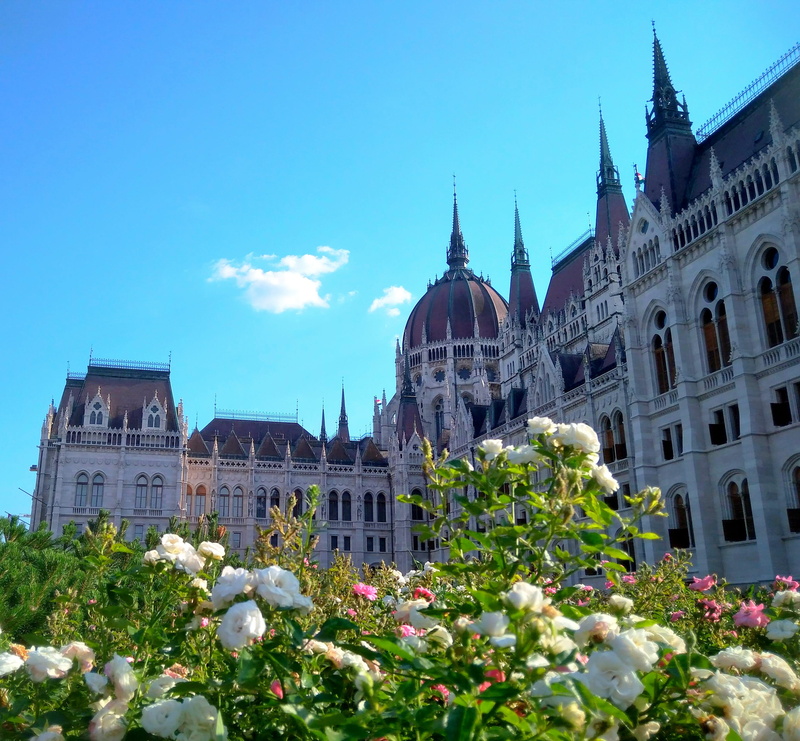 nature, low angle view, hungary, no people, plant, budapest, flowering plant, parliament, government, city, sunshine, building exterior, architecture, spire