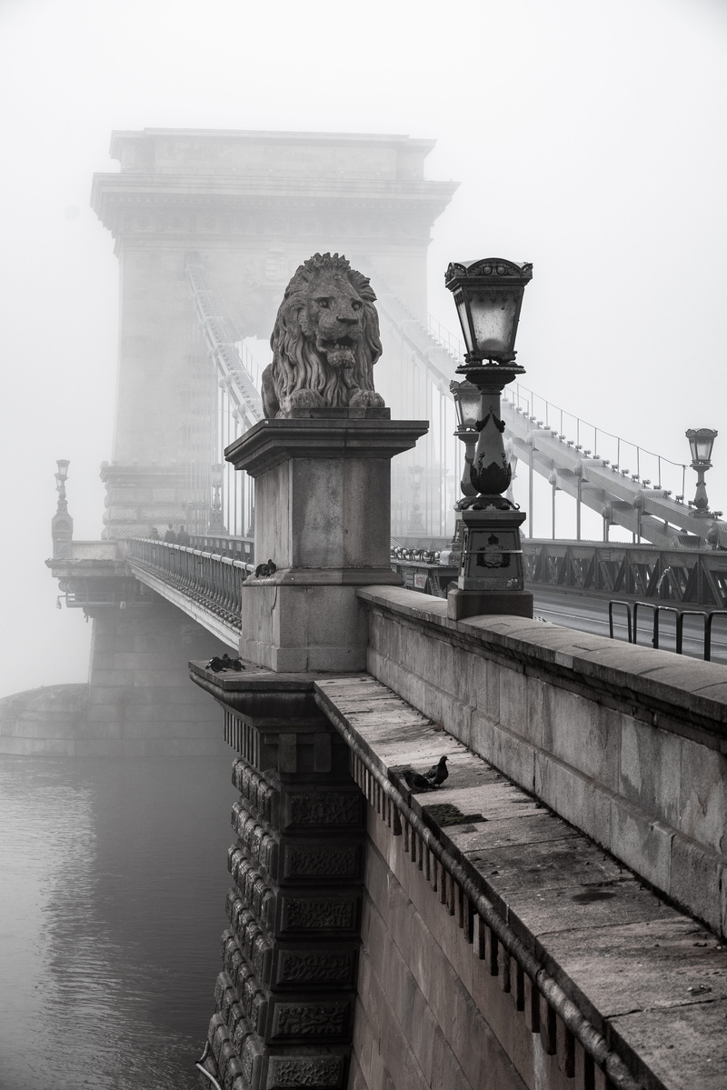 black, person, building exterior, budapest, day, hungary, 5K, built structure, brooklyn, architecture, morning, river, danube, architectural column, bridge - man made structure