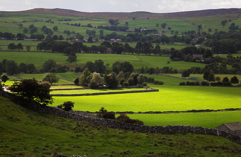 field, hills, farm, land, nature, photo, green, Country, outdoors, open, english, hill, scenery, green color, valley, plant, 4K, rolling landscape, agriculture