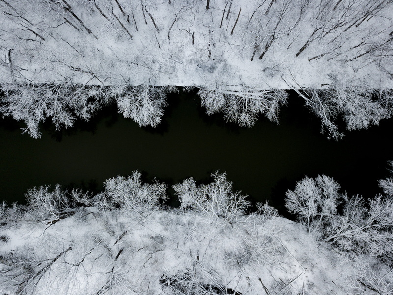 no people, cold temperature, bare, tree, symmetrical, taken, river, finland, day, non-urban scene, daytime, outdoors, growth, cold, leafless, frozen, water