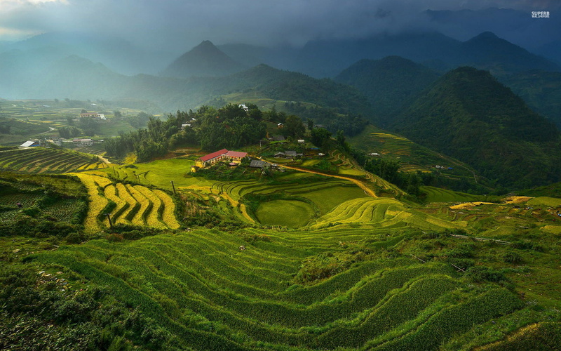 grass, terrace, outdoors, terraced field, mountain range, field, land, farm, tranquil scene, scenics - nature, growth, plant, tranquility, landscape, environment