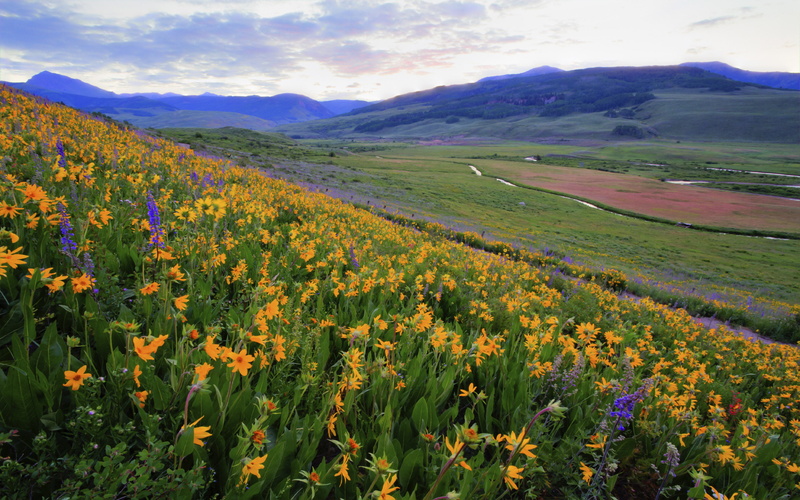 nature, clouds, hill, springtime, hd, valley, desktop, sky, backgrounds, landscape, field, 2K, flowers, yellow