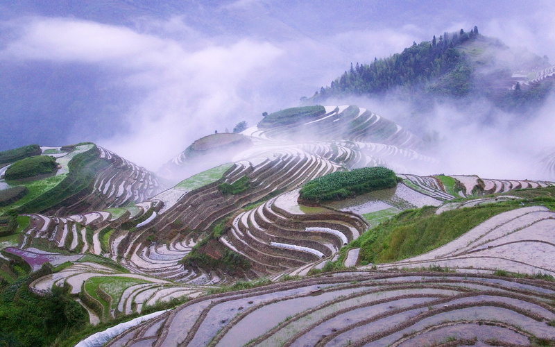 Clouds, hd, landscapes, fields, x, rice, nature, mountains, art, misery, mist, 1080P