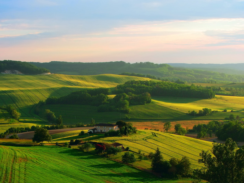 Trees, House, Sky, Fields, Scenery, Beautiful, 1080P