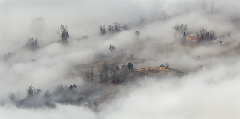 pine tree, tree, nature, mountain range, y ty lao cai, travel, mountain peak, smog, forest fire, 4K, landscape, scenery, clouds early on ha, clouds, mountain