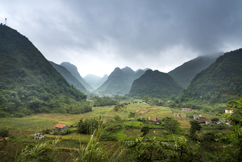 terraces, eco, the countryside, curve, day, water, natural, 8K, tranquil scene, environment, vietnam, plant, cultural, asia, beauty in nature, nature