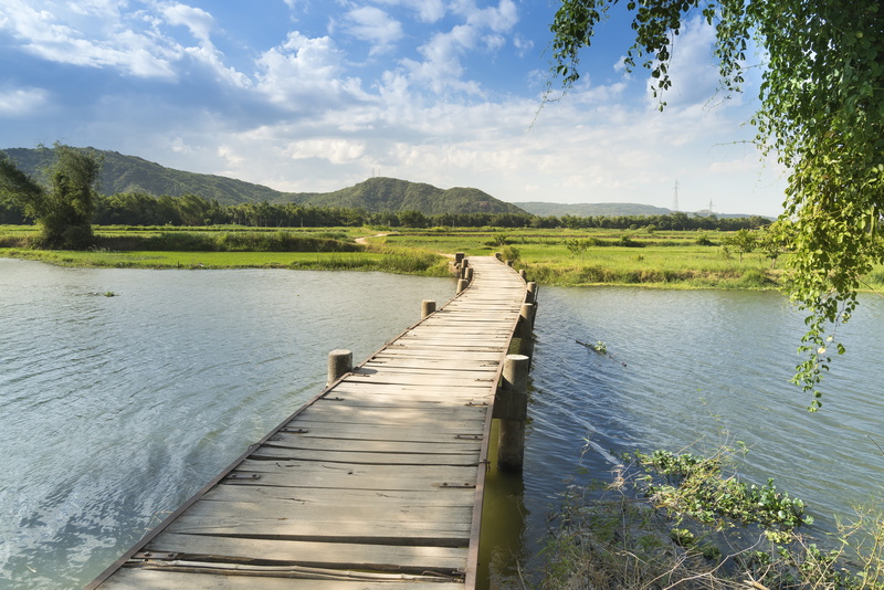 wave, nice, 8K, the way forward, pier, the son, lake, wood paneling, water, scene, travel, play, wood, beauty in nature, outdoors, forest, tranquil scene