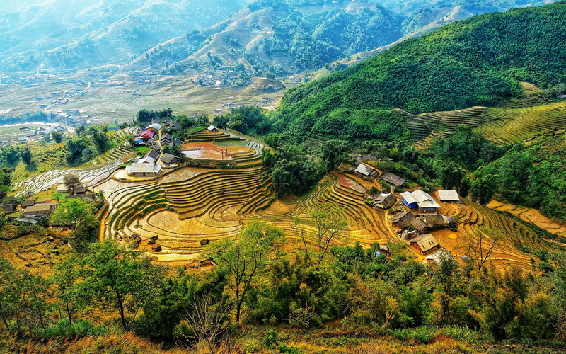 rural scene, terraced field, land, rice - cereal plant, plant, village, 4K, vietnam, farm, tree, field, rice, beauty in nature, nature, landscape, terrace