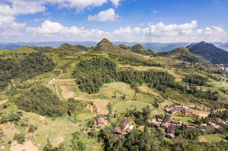 high angle view, nature, day, rice field, village, rural scene, green color, asia, tree, paddy, sky, agriculture, beauty in nature, mountains, ha giang province