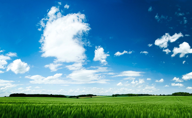 cloud - sky, Summer, Landscape, Wheat, Clouds, no people, Nature, ricefield, land, blue, environment, sky, farm, agriculture, beauty in nature, scenics - nature