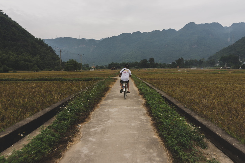 field, prospective, sky, day, rear view, plant, real people, outdoors, scenics - nature, nature, men, rural scene, maichau, landscape, beauty in nature