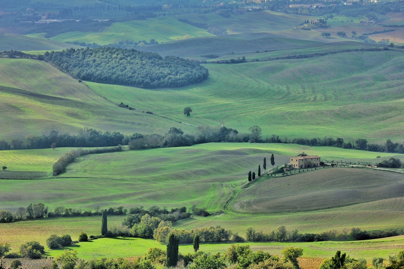 rolling landscape, growth, rural scene, tranquil scene, ricefield, hill, landscape, beauty in nature, italy, agriculture, non-urban scene, tranquility