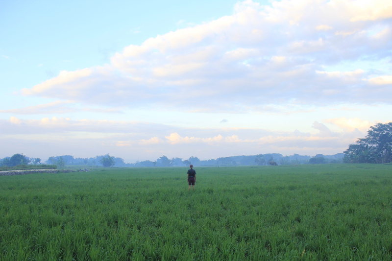 plant, land, standing, forest, green color, field, 5K, landscape, scenics - nature, man, indonesia, sky, non-urban scene, cloud - sky, tranquility, grass