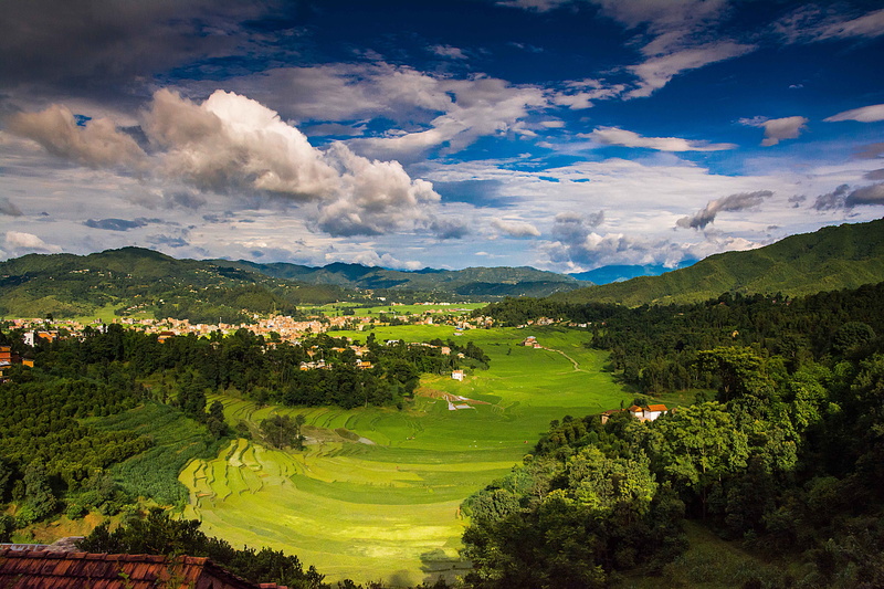 day, summer, Sky, landscape, roadtrip, aerial, cloudy, my_choice, rice  paddy  fields, agriculture, field, Rice fields, outdoors, green field, nature, motorcycle