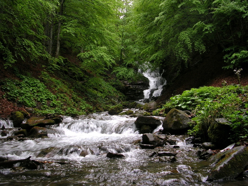 Shupit, Carpathians, nature, waterfall, Ukraine, water, 1080P