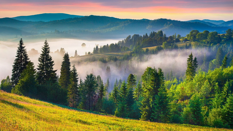 mountains, summer, Carpathian Mountains, 1080P, Ukraine, landscape, grass, mist, field, trees, nature, sunrise