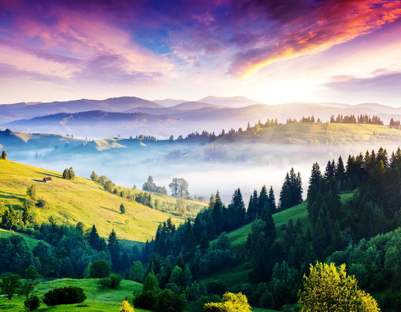 sunset, 5k, hills, Carpathians, fog, 4K, pines, 4k