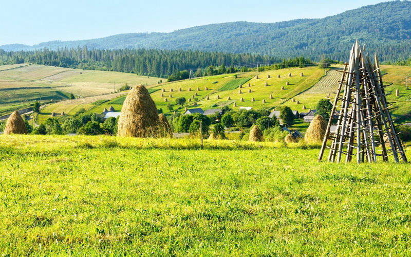 Trees, Houses, Field, Mountains, 720P, grass, Ukraine, green, Carpathians, Hay, Farm