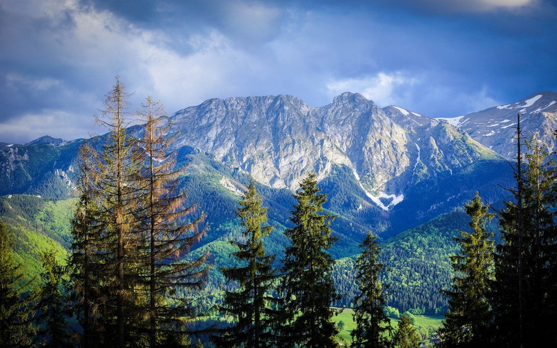 summer, 720P, Poland, Carpathians, mountains, trees, nature, clouds, forest, landscape