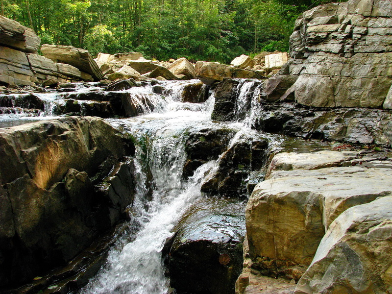 nature, rock, flowing, wood, ukraine, flowing Water, motion, freshness, stone - Object, falling water, landscape, summer, blurred motion, scenics - nature