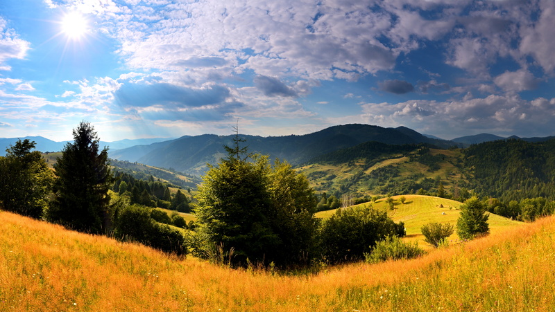 mountain, plant, cloud - Sky, tranquil Scene, beauty, travel, sun, green Color, growth, land, Carpathians, scenics - nature, valley, mountains, coniferous tree
