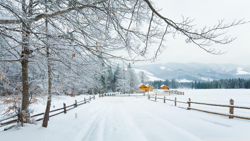 fence, nature and landscapes, farms, 1080P, winter, trees, carpathians