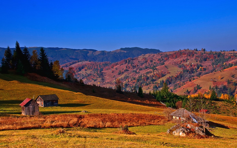 the sky, non-urban scene, hut, rural scene, building, green, cottage, land, 1080P, plant, sky, tranquility, scenics - nature, trees, tree, Carpathians